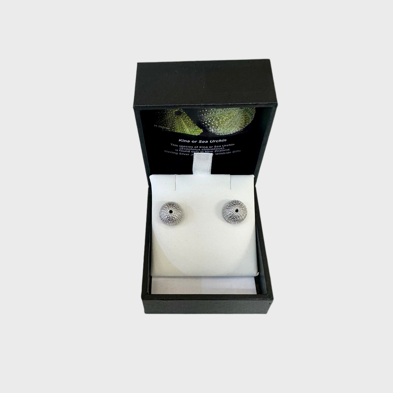 Sterling Silver Kina Studs