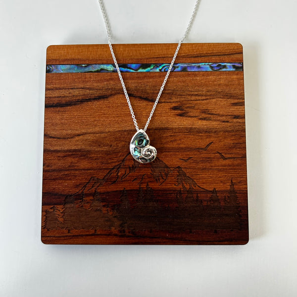 S/S & Paua Spirula Shell  Necklace