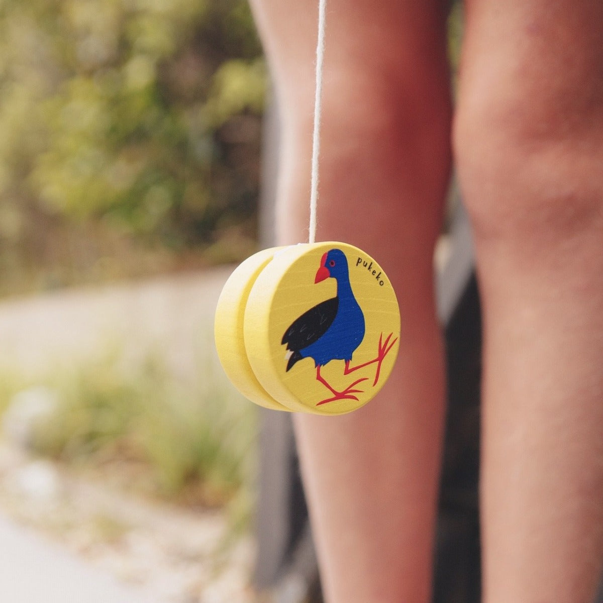 jade kiwi kaikoura kids yoyo pukeko gift